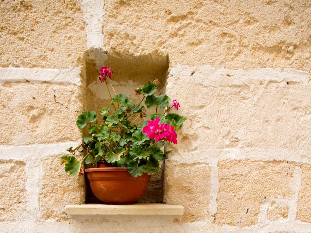 B&B Corte dell' Idume Lecce Esterno foto